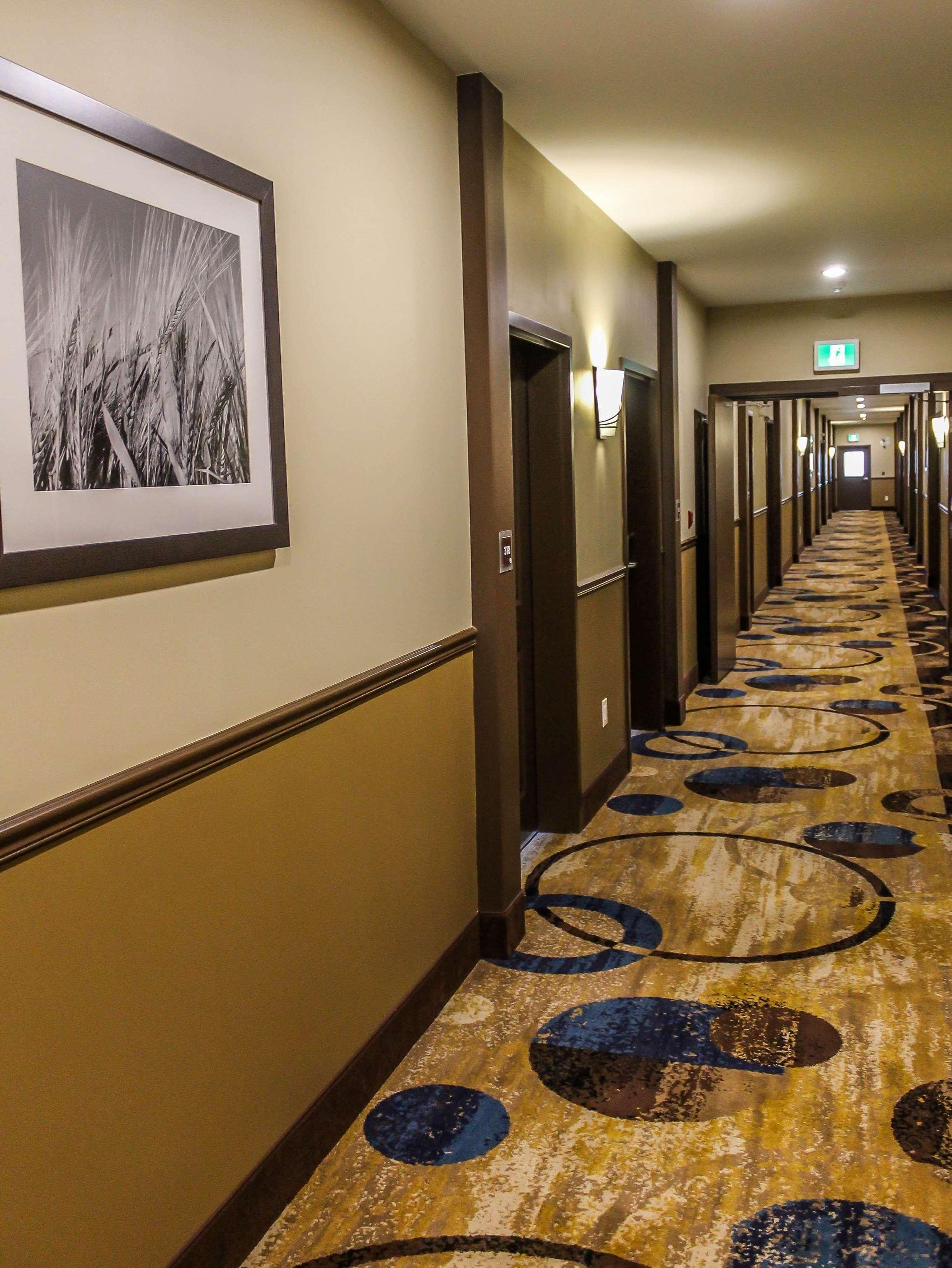 Best Western Plus Moosomin Hotel Zewnętrze zdjęcie